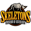 SKELETONS Museum of Osteology logo