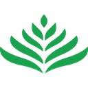 organicindiausa.com logo