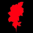 Logo for orgvsm.com