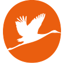 Orhigin logo