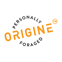 ORIGINE logo