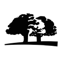 Origin Logo