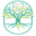 Origin SEO logo