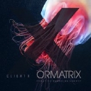 Ormatrix | Custom Software & Web Design logo