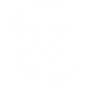 Opinion Research Services Limited logo