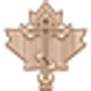 Orthodoxtoys logo