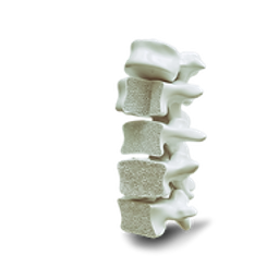 orthowestga.com