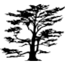 Orton Bradley Park Board logo