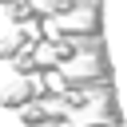 OS