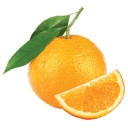 Orangewood Surgical Center logo
