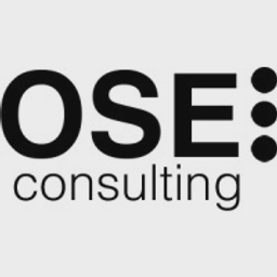 OSE CONSULTING LTD logo