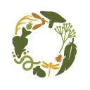 osee.ca icon