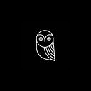 Osgo Home logo