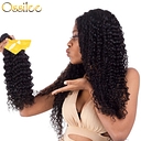 Ossilee Hair logo