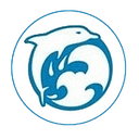 Ocean Shore School Parent Teacher Organization logo