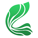 Cranial Academy Foundation Inc logo
