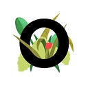 Outerbounds logo