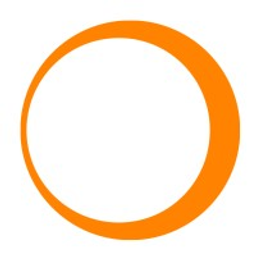 Realty Executives INTL. SVCS. LLC logo