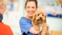 Oval Pet Centre Limited logo