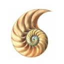 Favicon of Overbury