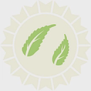 overcomeveryday logo