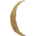 Over The Moon