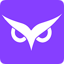 OwlityAI logo