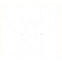 OWL Testing Software