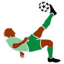 owngoalnigeria.com logo