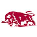 Ox Bodies, Inc. logo