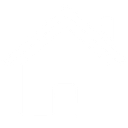 The Oxford Institute logo