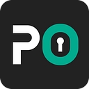P0 Security logo