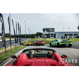 P1 Apex logotyp