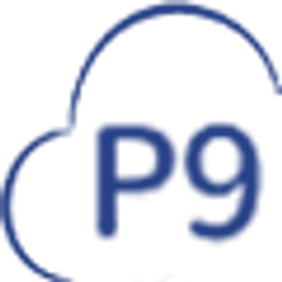 P9 Cloud Solutions, Inc. logo