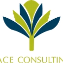 Pace Consulting LLC
