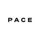 Pace Development Group Pty Ltd logo