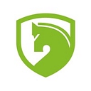 Pace Flow Assurance logo