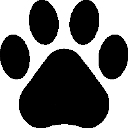 Pace Veterinary Clinic logo