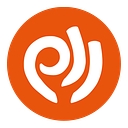 Pace Ward Limited logo