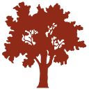 PACHEL FOUNDATION logo