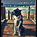 Pacific Pet Treats
