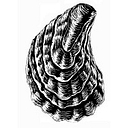 Pacific Shellfish Institute logo