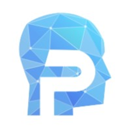 Pacston Corporation logo
