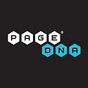 Pagedna logo