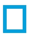 Page Insurance logo