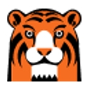 Pagetiger logo