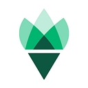 Paladina Health logo