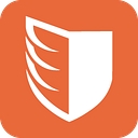 Paladin logo