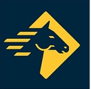 Paladin Security Group Ltd logo