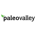 Paleovalley logo